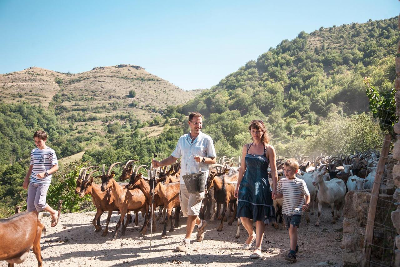 La Ferme Des Cevennes Hotel Florac Bagian luar foto