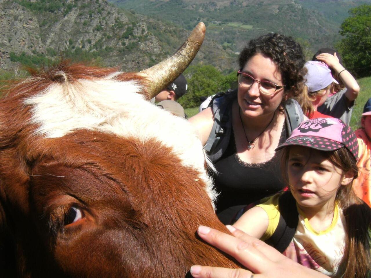 La Ferme Des Cevennes Hotel Florac Bagian luar foto