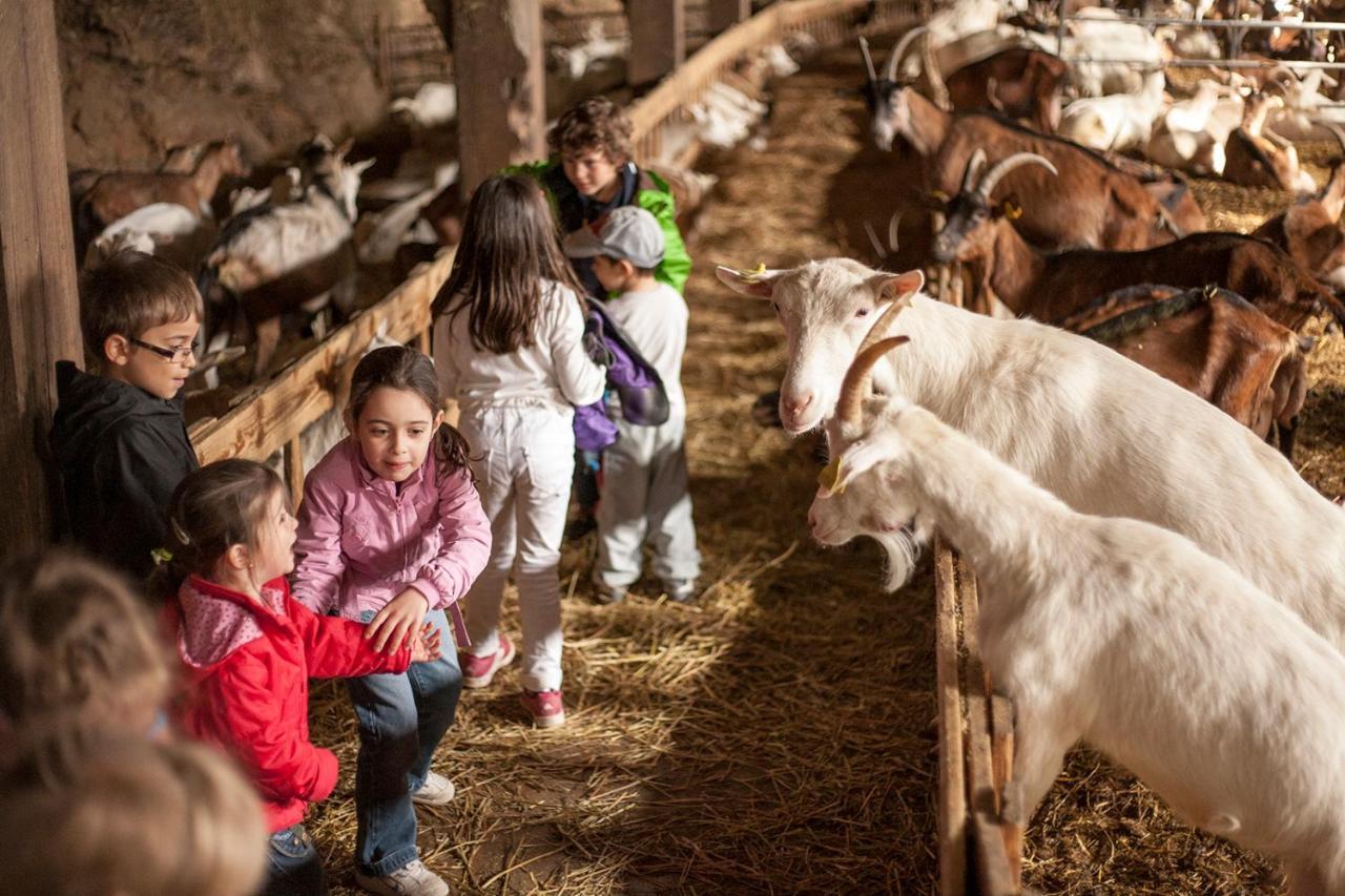 La Ferme Des Cevennes Hotel Florac Bagian luar foto