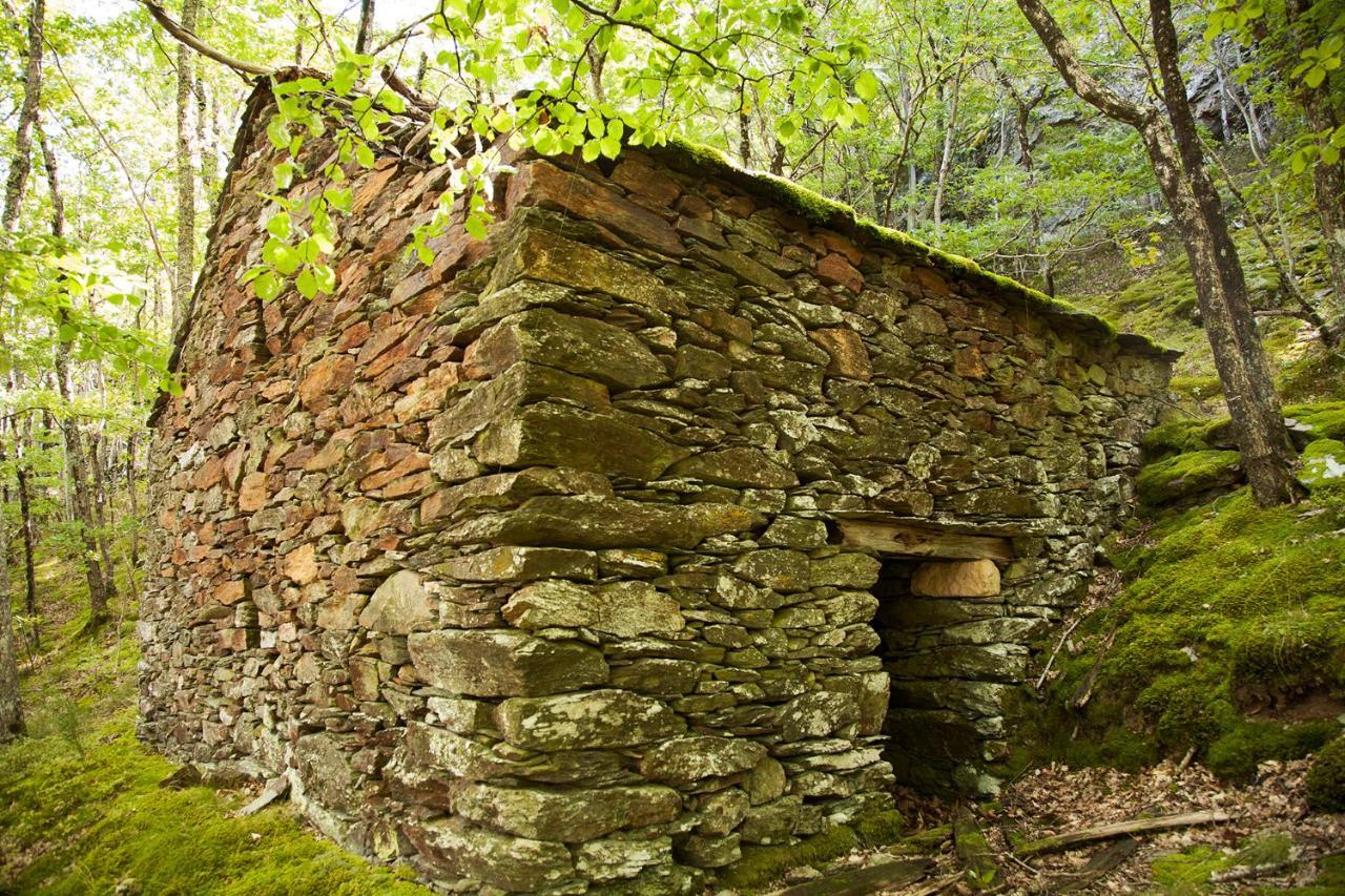 La Ferme Des Cevennes Hotel Florac Bagian luar foto